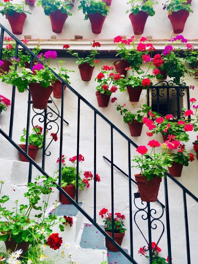 Ribera Del Quivir Apartman Córdoba Kültér fotó